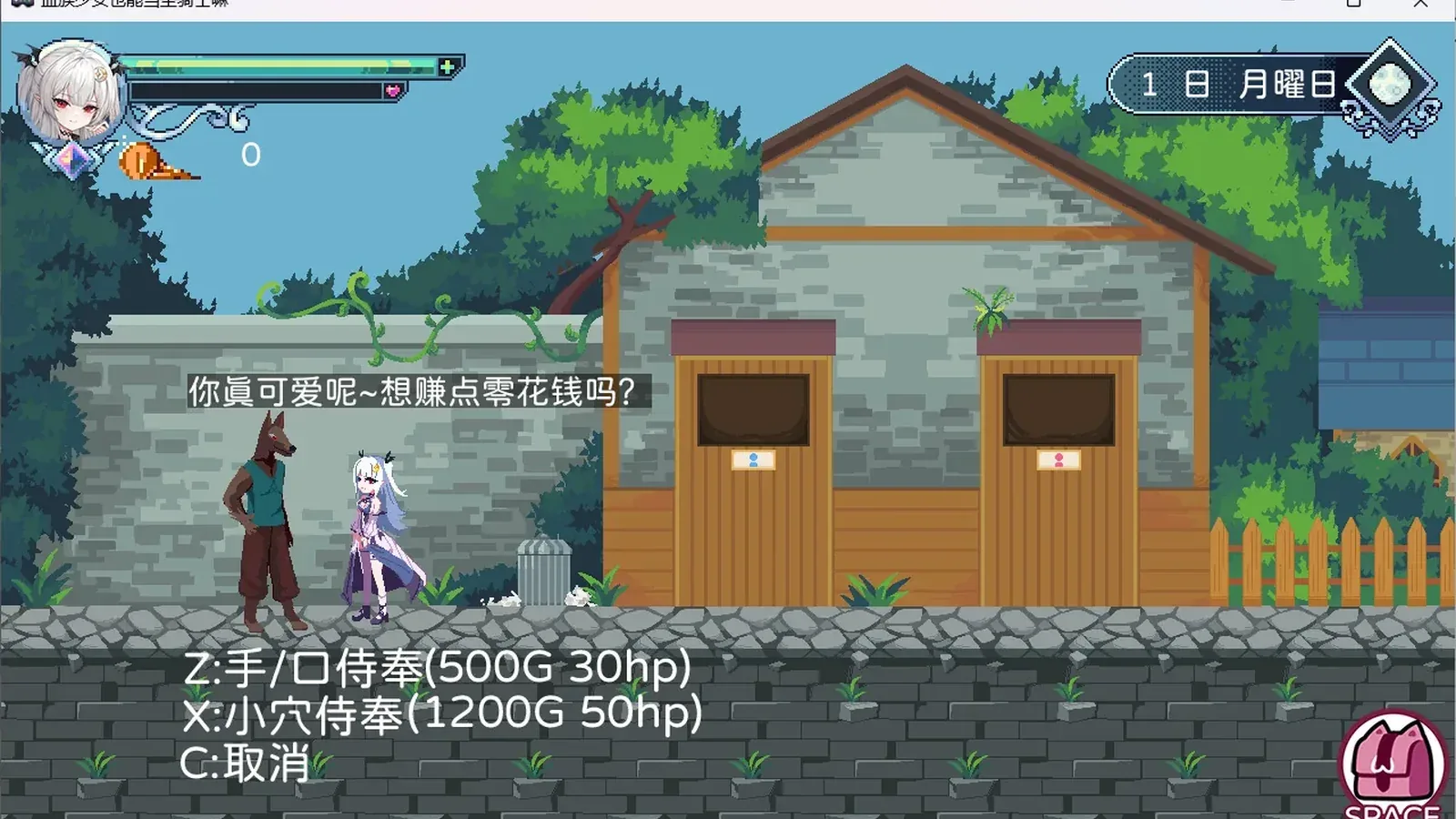 血族少女也能当圣骑士吗？16:9游戏画面